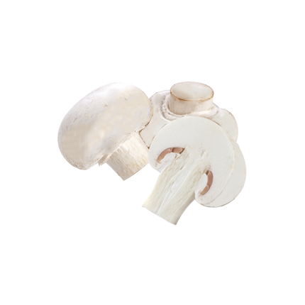 White Mushroom